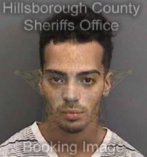 Rosario Rafael - Hillsborough County, Florida 