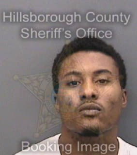 Newsome Rodiez - Hillsborough County, Florida 