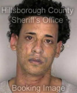 Rodriguez Samuel - Hillsborough County, Florida 