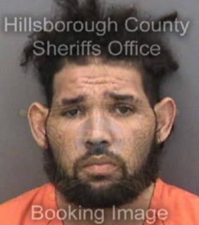 Mitchell Brian - Hillsborough County, Florida 