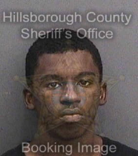 Davis Dhrai - Hillsborough County, Florida 