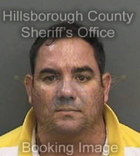 Garriga Julio - Hillsborough County, Florida 