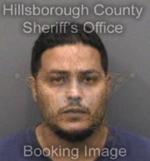 Leon Luis - Hillsborough County, Florida 