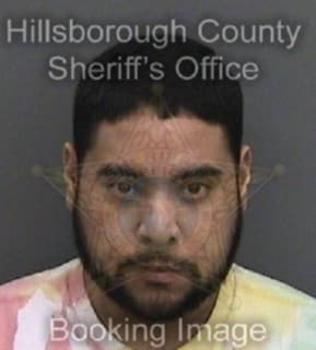 Diaz Samir - Hillsborough County, Florida 