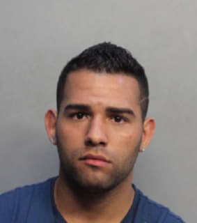 Lopez Yoan - Dade County, Florida 