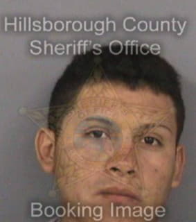 Villalobos Gerson - Hillsborough County, Florida 