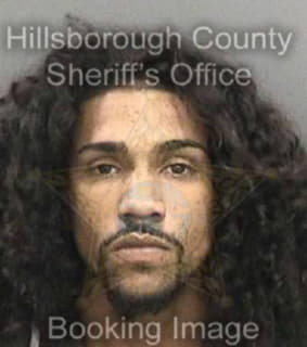 Ojeda Hector - Hillsborough County, Florida 