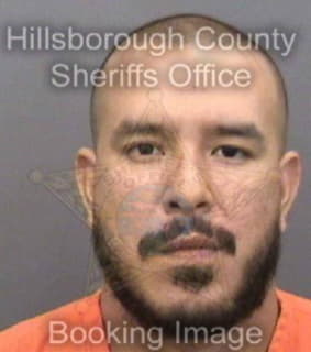 Ramos Ricardo - Hillsborough County, Florida 