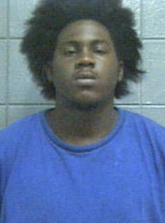 Mcglaurin Christopher - Baldwin County, Alabama 