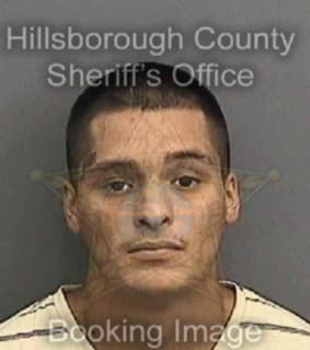 Martinez Luis - Hillsborough County, Florida 