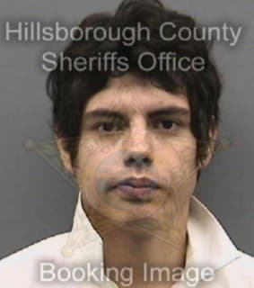 Perez Mark - Hillsborough County, Florida 