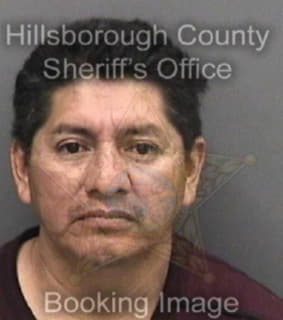 Rodrigueznava Arturo - Hillsborough County, Florida 