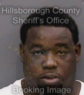 Bowser Dajuan - Hillsborough County, Florida 