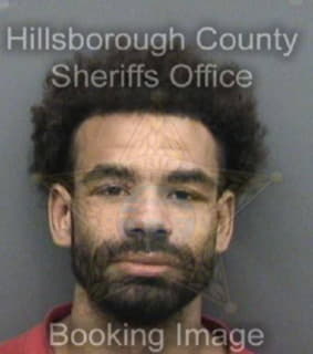 Collins John - Hillsborough County, Florida 