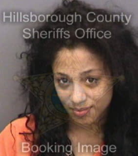 Cedeno Kimberlin - Hillsborough County, Florida 