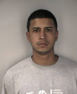 Perez Raymond - Hillsborough County, Florida 