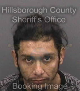 Rodriguez Elain - Hillsborough County, Florida 