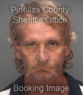 Mckinney Shannon - Pinellas County, Florida 