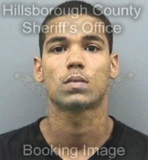 Rivera Angel - Hillsborough County, Florida 