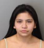 Martinez Rosa - Shelby County, Tennessee 