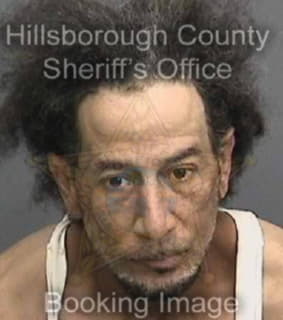 Mccoy William - Hillsborough County, Florida 