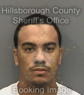 Mcghee Anthony - Hillsborough County, Florida 