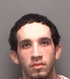 Gonzalez Raul - Pinellas County, Florida 