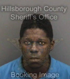 Lee Anthony - Hillsborough County, Florida 