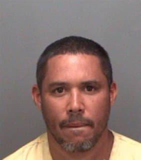 Rodriguezfernandez Jose - Pinellas County, Florida 