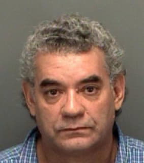 Ramosgonzalez Nelson - Pinellas County, Florida 