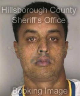 Chapman David - Hillsborough County, Florida 