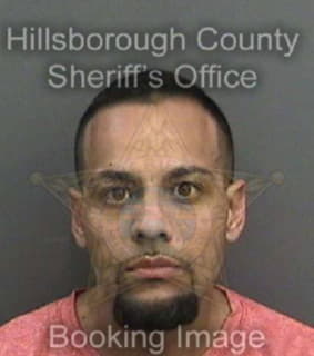 Rodriguez Dennis - Hillsborough County, Florida 