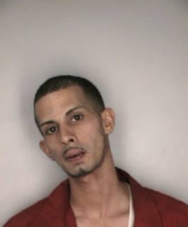 Vazquez Javiel - Hillsborough County, Florida 