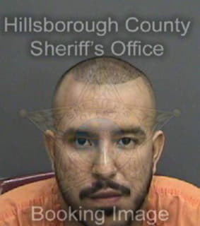 Ramos Ricardo - Hillsborough County, Florida 