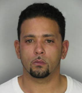 Gonzalez Antonio - Hillsborough County, Florida 