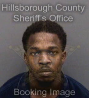 Bogan Daniel - Hillsborough County, Florida 