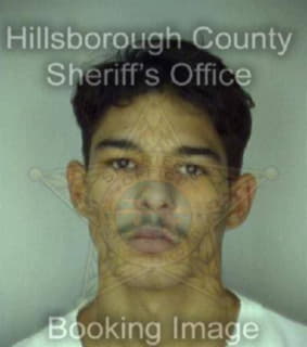 Diaz Luis - Hillsborough County, Florida 