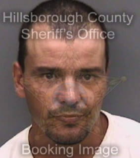 Lindall Daniel - Hillsborough County, Florida 