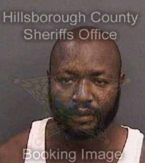 Williams Rodney - Hillsborough County, Florida 