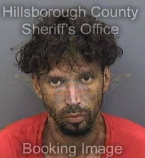 Owen David - Hillsborough County, Florida 