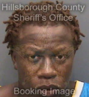 Robinson Dennis - Hillsborough County, Florida 