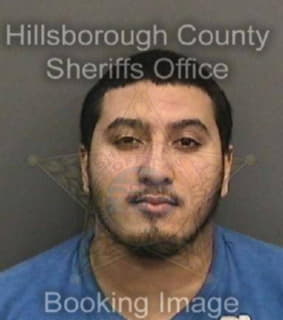 Mastrototaro David - Hillsborough County, Florida 