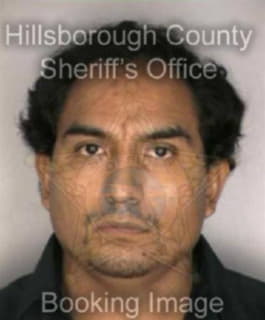 Martinez Evlalio - Hillsborough County, Florida 