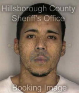 Melendez Hector - Hillsborough County, Florida 