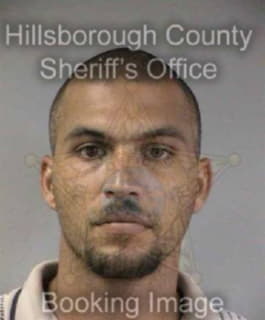 Woodard Ricardo - Hillsborough County, Florida 