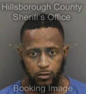 Pearson Vernon - Hillsborough County, Florida 