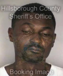 Mitchell David - Hillsborough County, Florida 