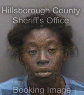 Anderson Elesha - Hillsborough County, Florida 