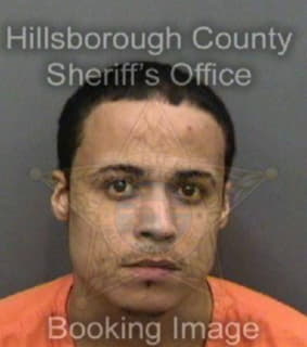 Borges Joshua - Hillsborough County, Florida 