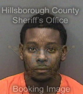 Robinson Louis - Hillsborough County, Florida 